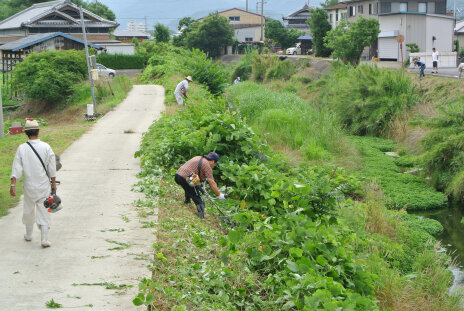 140706 aas.jpg