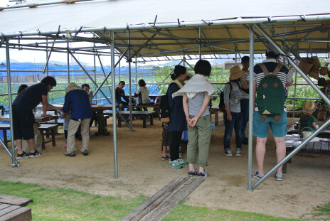 140706 am.jpg